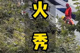 大年初一，桂林将办大型山水焰火秀，燃放点找到了， 你会去哪个点赏烟花？#非遗年里的桂林烟火视频封面