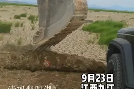 近日，鄱阳湖进入极枯水期，湖床裸露，出现大量废弃渔网等垃圾。当地政府和志愿者使用挖掘机等工具对其进行清理，清网行动持续进行中。#鄱阳湖 #保护环境 #枯水期 视频封面
