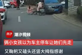 俩小女孩以为车主停车让她们先走 又鞠躬又磕头还竖大拇指感谢 车主：被逗乐了，当时应该去给红包的（素材来自：@小汤哥 ）视频封面