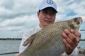 你们觉得我这个茶叶用的值不值？#用钓鱼装备打开国庆假期 #钓鱼人就是这么疯狂 #DOU是钓鱼人 #锅盖鳊