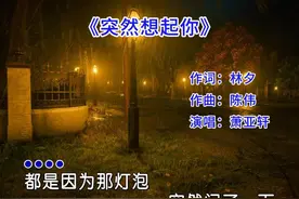 我没有刻意的去想你 只是在很多瞬间会想起你视频封面