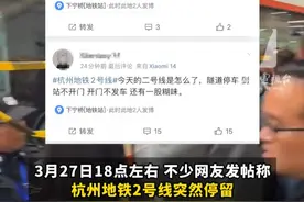 #杭州  #地铁  2号线突发！“一直延迟”“闻到好大一股#焦味  ”，地铁官方：行车间隔因故有所延长视频封面