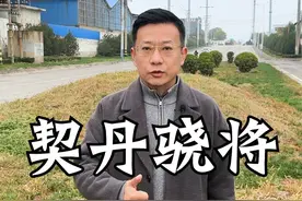 大唐中兴名将-李光弼 #人文星闪耀计划 #在抖音看懂历史脉络 #李光弼#大唐名将视频封面