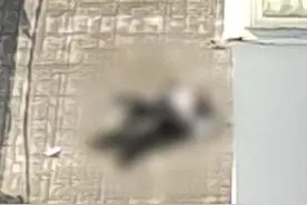网传河南安阳一女子从17楼跳下，11月20日，#街道办回应女子产后抑郁跳楼  ：已不幸身亡。视频封面