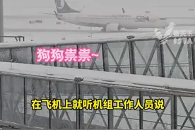 山航再次上演“硬核降落”！济南暴雪，山航准时抵达机场，乘客：飞行过程很平稳，没有颠簸（视频：@一条 @十斤 @Lin琳 @小镇男孩王大宽 ）#人间快照视频封面