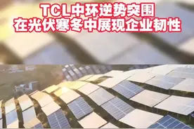 TCL中环逆势突围，在光伏寒冬中展现企业韧性#TCL中环#光伏#210 #硅片龙头 #年报视频封面