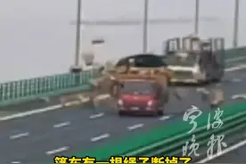 高速上货车篷布散开，货物瞬间“天女散花”般洒落 过路司机纷纷变“清障侠”打通道路#宁波新闻视频封面