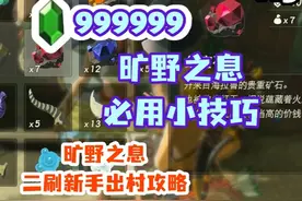 塞尔达旷野之息最快速速刷宝石卢比最全萌新攻略获得多发弓113视频封面