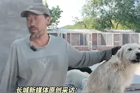 6月5日发布，#8个月的隐忍击败曾经的狗王  ，来听饲养主胡子大叔讲讲查理大帝是如何一步步登上王位。#查理国王#长毛