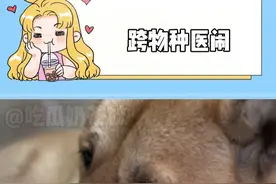 狗子：你这种治好了也是流口水#狗狗 #医学生 #万万没想到 #看一遍笑一遍视频封面