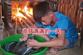 自制捕鱼神器，在溪流中收获了不少的鱼，太多鱼吃不完腌制起来视频封面