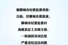 高唐县总工会原主席、一级调研员刘吉星严重违纪违法被开除党籍和公职（姚敏）#打虎拍蝇  #反腐倡廉视频封面