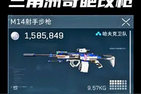 锐评【三角洲】奇葩改枪全网最贵M14! #三角洲行动