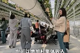 #杭州这个农场站着就能摘草莓 ！一天营业额近20万，助力乡村共富！（来源：@草莓君主题农场 ）视频封面