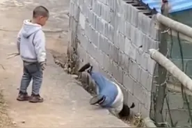 孩子擦伤磕伤马上擦酒精？第一步你就做错了！#透明质酸硅凝胶  #擦伤   #磕伤   #儿童健康保卫计划   #开工健康手册视频封面