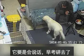 洗衣机水管漏水 狗狗用“甩水”动作提醒主人（来源：@幼犬教官琪爸 ）#这操作都看傻了 #狗狗成精了视频封面
