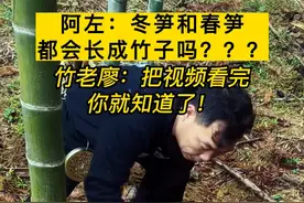 你们知道冬笋和春笋有什么区别吗？？？#2023新农人计划 #助农 #竹 #挖笋的乐趣只有体验过才懂 #冷知识视频封面