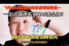 NAS内网穿透喂饭教程——DDNS动态域名解析