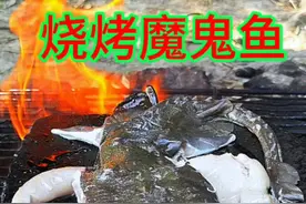 鱼塘里抓了一条魔鬼鱼，放石板上烧烤一下，撒上各种调料真好吃视频封面