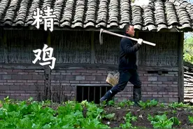 黄精鸡 用长在深山土壤里的仙人余粮——野生黄精和养了三年的老母鸡煨一锅浓厚醇香的鸡汤，冬天吃再合适不过。#黄精 #鸡汤 #农村美食 #大自然的馈赠 #新农人计划2024视频封面