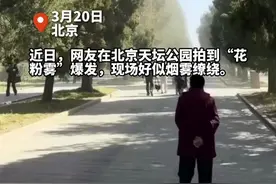 北京天坛公园3.3万株柏树花粉爆发，公园已雾化喷水，12345回应称将逐步更换树种视频封面
