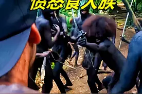 男子勇闯食人族部落探险，野人蜂拥而上差点被当成猎物 #探险视频封面