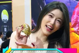 名龟汇聚，一口气看完52种龟！和大家一起沉浸式逛龟！ 有曾经1000万一对的龟，也有现在128万一只的龟，上百种龟你养过几种呀？#养龟人 #水族 #爬宠视频封面