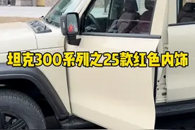 25款坦克300的红色内饰版本，你喜不喜欢呢？ #坦克300 #25款坦克300来了 #25款坦克300怎么样 #坦克300百城万里探秘之旅