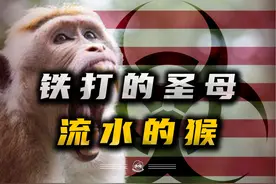滋油美利坚，猴命不便宜！ #美国实验室猴子运输途中逃跑  #病毒视频封面