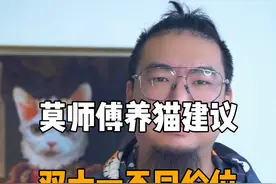 甭管喂什么价格的猫粮，请量力而行，别让养猫变成您的负担。#新手养猫 #科学养猫 #猫粮推荐 #国产猫粮视频封面