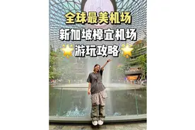 不愧是全球最美机场！新加坡樟宜机场游玩攻略 #新加坡机场视频封面