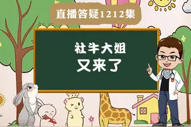 兔兔不爱吃草怎么办？#宠物兔视频封面