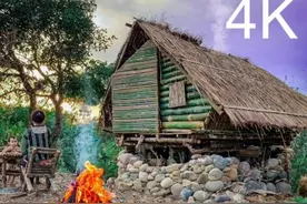 单亲妈妈带娃隐居深山，徒手搭建竹屋开垦荒地，为母则刚感天动地视频封面