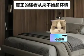 真正的强者从来不抱怨环境 #猫meme  #猫meme小剧场视频封面