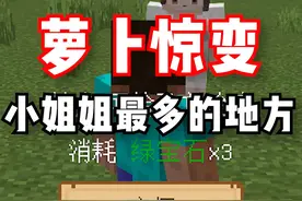《惊变100天》都说了很多遍啦！装备不好不要来大都会探险！ #我的世界 #惊变 #游戏