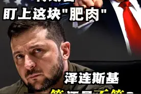 特朗普盯上这块乌克兰矿产资源这块“肥肉”，欧盟也蠢蠢欲动，想分一杯羹…这协议，泽连斯基签还是不签？#特朗普 #矿产协议 #泽连斯基 #乌克兰稀土 #俄乌视频封面