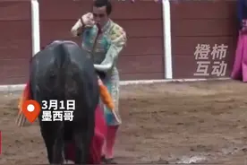 斗牛士被公牛刺中臀部，被顶数秒后倒地，手术超9小时仍未脱离危险视频封面