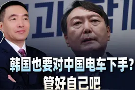 对中国电动汽车下手？韩国也要学欧盟？ #热点新闻事件视频封面