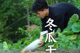 趁着天气好晒一些冬瓜干，既好吃又方便保存，到冬天拿出来炖肉，又是一道美味#新农人计划2024 #农村美食 #家乡的味道 #冬瓜干 #我的乡村生活视频封面