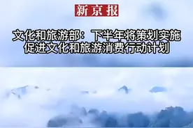文化和旅游部：#下半年将策划实施促进文化和旅游消费行动计划  视频封面