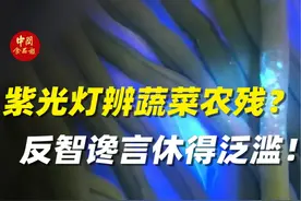 紫光灯辨蔬菜农残？反智谗言休得泛滥！ #紫光灯 #蔬菜 #辟谣视频封面