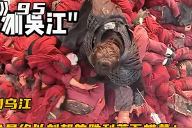 项羽自刎乌江，楚汉之争最终以刘邦的胜利落下帷幕！ #好剧推荐视频封面