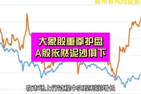 “大象股”重拳护盘 为何A股依然泥沙俱下？视频封面