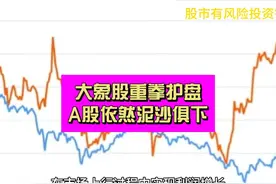 “大象股”重拳护盘 为何A股依然泥沙俱下？视频封面