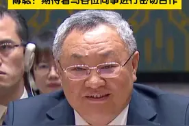 安理会轮值主席在发言前，欢迎中国新任常驻联合国代表傅聪。傅聪：期待着与各位同事进行密切合作。#联合国 #傅聪大使视频封面