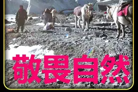 独自生活在雪山脚下是种什么体验视频封面