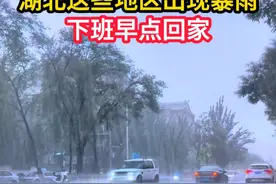 目前，武汉、宜昌、荆州、潜江、天门、仙桃等地将出现雷暴大风、短时强降水等强对流天气，雨量20-40毫米，并伴有雷电。此时此刻，湖北多地有雷阵雨突袭，小伙伴们注意躲避喔～ 你那边现在下雨了吗？#武汉天气 #湖北天气 #内容启发搜索视频封面