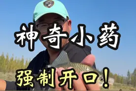 有没有真实的超神奇小药 今天给大家分享一下，超级神奇的钓鱼小药！#钓鱼🎣视频封面