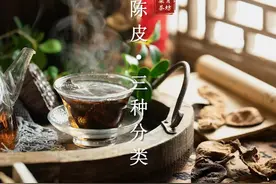 一个视频教你陈皮分类方法 和柒月一起学习陈皮的分类吧视频封面