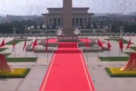 我的鸽子回家了！天安门放飞的和平鸽大多是赛级精英 #直击九三盛大阅兵  #我们的胜利